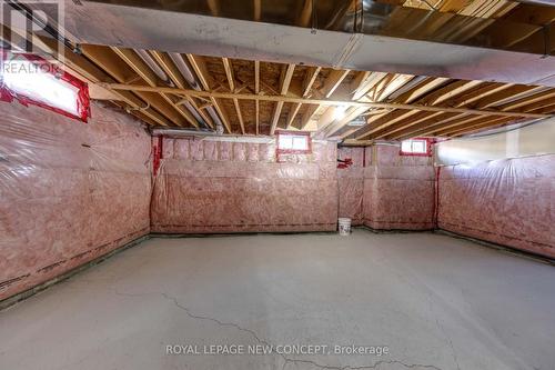 343 Luck Court, Newmarket (Woodland Hill), ON - Indoor Photo Showing Basement