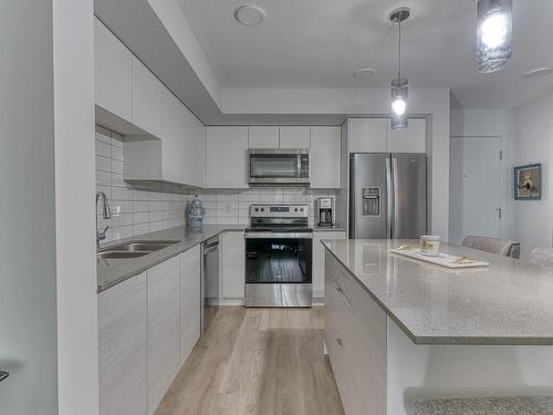 204-4810 Cedar Ridge Pl, Nanaimo, BC - Indoor Photo Showing Kitchen With Double Sink With Upgraded Kitchen