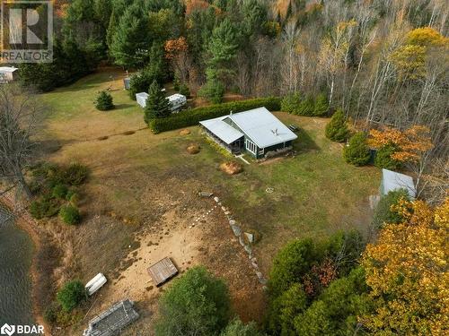 358A Little Finch Lake Road, Denbigh, ON - Outdoor