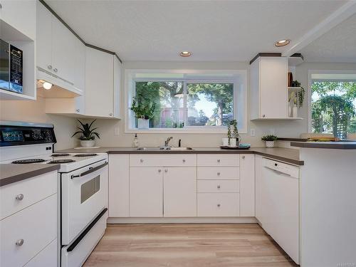 2207 Victor St, Victoria, BC - Indoor Photo Showing Kitchen With Double Sink