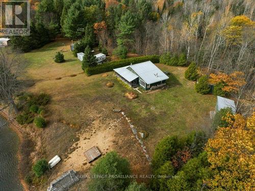 358A Little Finch Lake Road, Addington Highlands, ON - Outdoor