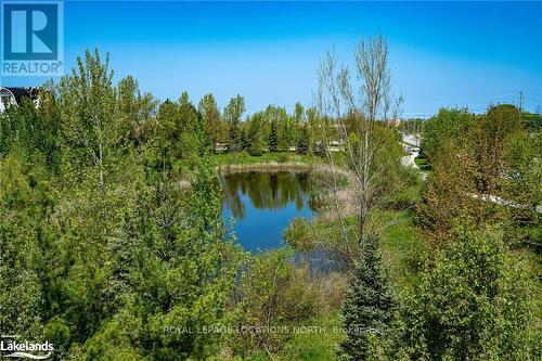 309 - 1 Chamberlain Crescent, Collingwood, ON - Outdoor With View