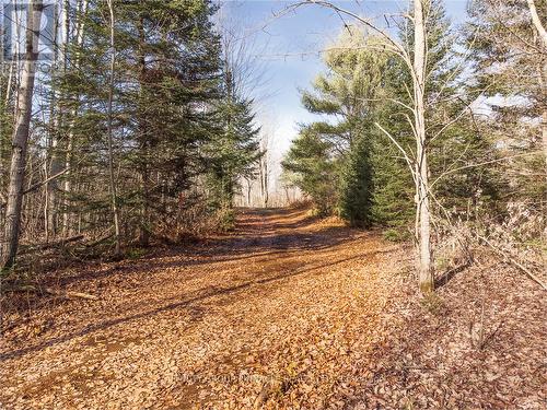 Lot 8 Comfort Drive, Highlands East, ON 