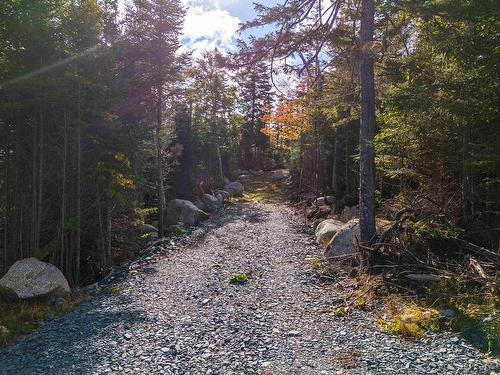 Cannon Rock Lane, Shad Bay, NS 