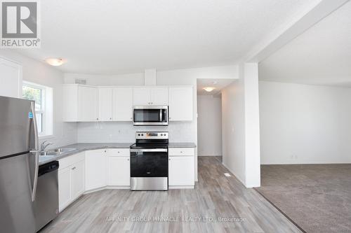 16 Park Street, Kawartha Lakes (Lindsay), ON - Indoor Photo Showing Kitchen With Double Sink