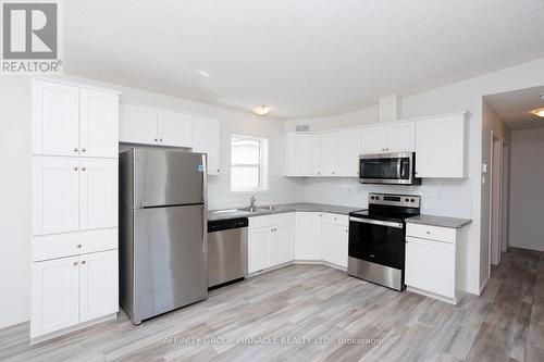 16 Park Street, Kawartha Lakes (Lindsay), ON - Indoor Photo Showing Kitchen