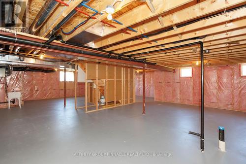 30 Liam Street, Kawartha Lakes (Lindsay), ON - Indoor Photo Showing Basement