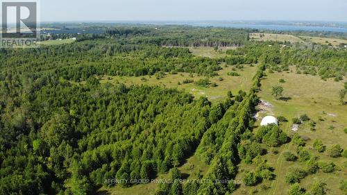 Lot 6 Conc 11 Heights Road, Kawartha Lakes, ON 