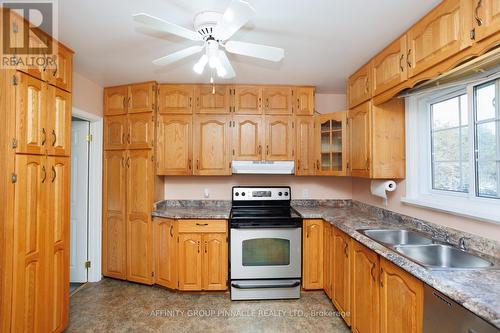 48 Albert Street, Kawartha Lakes (Fenelon Falls), ON - Indoor Photo Showing Kitchen With Double Sink