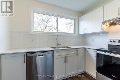 74 Woodman Drive N, Hamilton (Kentley), ON - Indoor Photo Showing Kitchen With Double Sink