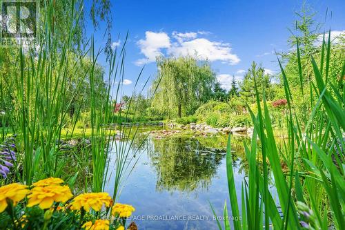 1521 Bowmanton Road, Alnwick/Haldimand, ON - Outdoor With View