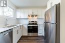 78 Woodman Drive N, Hamilton (Kentley), ON  - Indoor Photo Showing Kitchen With Stainless Steel Kitchen With Double Sink 