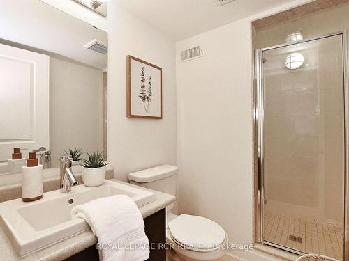 65 Anchusa Dr, Richmond Hill, ON - Indoor Photo Showing Bathroom