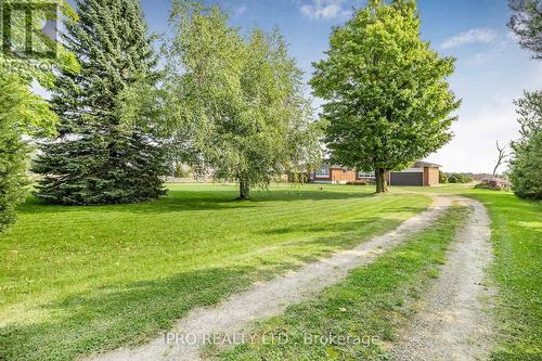 433457 4Th Line, Amaranth, ON 