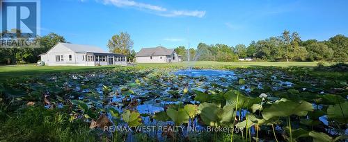 1961 Townline Road, Fort Erie, ON - Outdoor With View