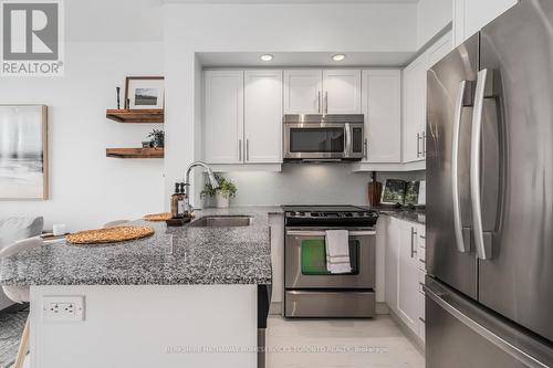 1703 - 85 East Liberty Street, Toronto, ON - Indoor Photo Showing Kitchen With Upgraded Kitchen