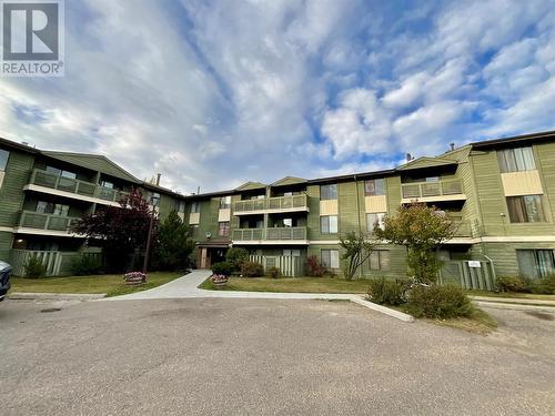 185 Chamberlain Crescent Unit# 301, Tumbler Ridge, BC - Outdoor