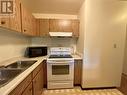 185 Chamberlain Crescent Unit# 301, Tumbler Ridge, BC  - Indoor Photo Showing Kitchen With Double Sink 