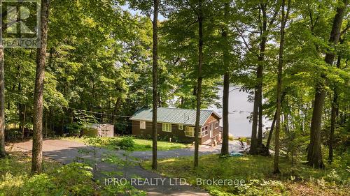 4 - 1125 Carlo Enterprise Road, Muskoka Lakes, ON - Outdoor