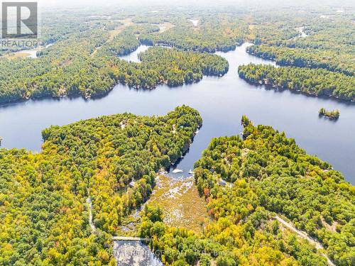 1020 Sunset Boulevard, Gravenhurst, ON - Outdoor With Body Of Water With View