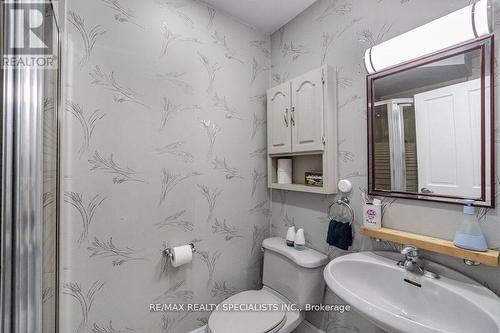 521 Guelph Street, Halton Hills, ON - Indoor Photo Showing Bathroom