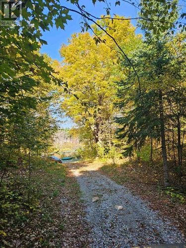 2035C Fifth Lake Road, Central Frontenac, ON - Outdoor With View