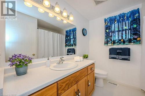 53 Thompson Drive, Guelph, ON - Indoor Photo Showing Bathroom