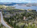 Land/Lot - Ch. Des Résineux, Saint-Michel-Des-Saints, QC 