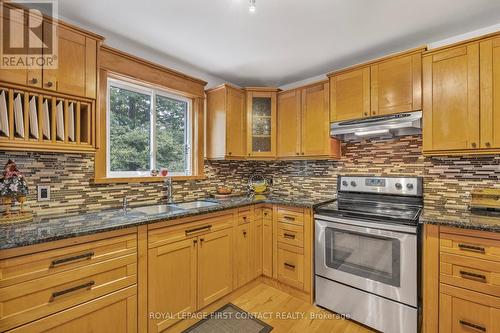 298 Livingstone Street W, Barrie, ON - Indoor Photo Showing Kitchen