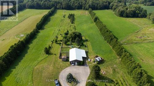 10086 Hedley Drive, Middlesex Centre (Ilderton), ON - Outdoor With View