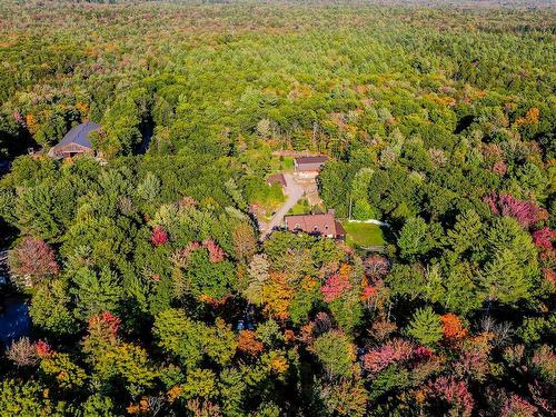 Wooded area - 248  - 248A Mtée Brisebois, Saint-Colomban, QC - Outdoor With View