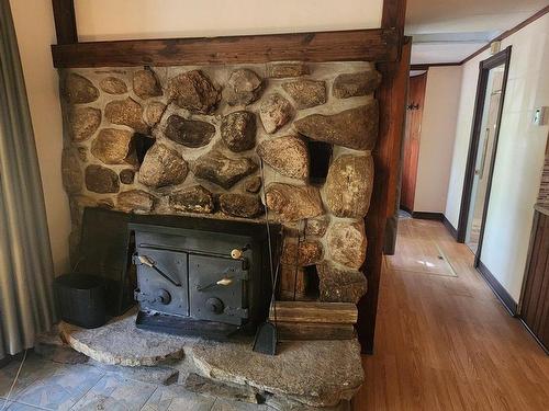 Autre - 577 1Re Avenue Lac-Mondor, Saint-Jean-De-Matha, QC - Indoor Photo Showing Living Room With Fireplace