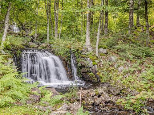 Backyard - 125 Ch. Du Manoir, Stoneham-Et-Tewkesbury, QC - Outdoor