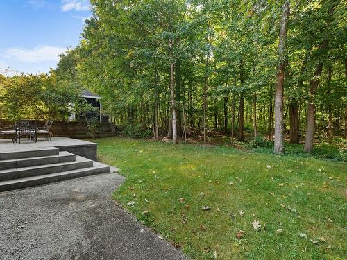 Wooded area - 38 Av. Odilon-Marois, Montmagny, QC - Outdoor