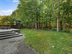 Wooded area - 