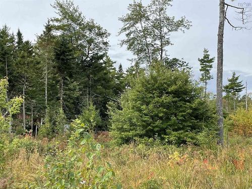 Lot 24-1 Lower Stave Lake, Upper Ohio, NS 