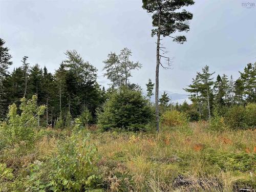 Lot 24-1 Lower Stave Lake, Upper Ohio, NS 