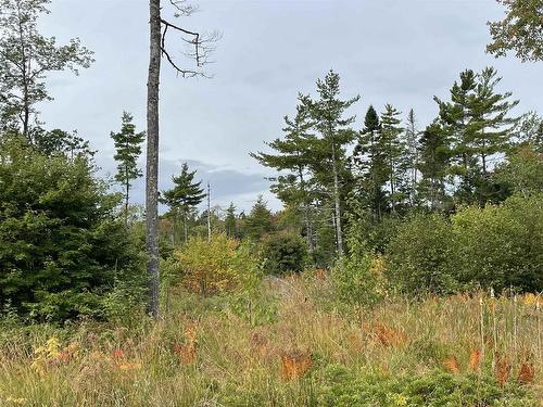 Lot 24-1 Lower Stave Lake, Upper Ohio, NS 