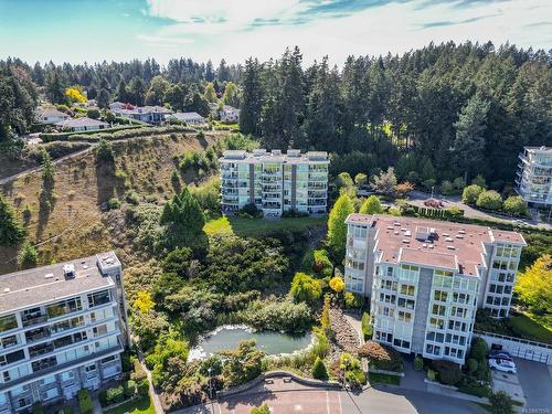 302-738 Sayward Hill Terr, Saanich, BC - Outdoor With View