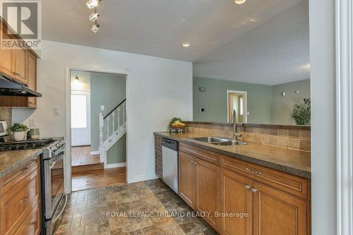 83 Brandy Lane Road, London, ON - Indoor Photo Showing Kitchen With Double Sink