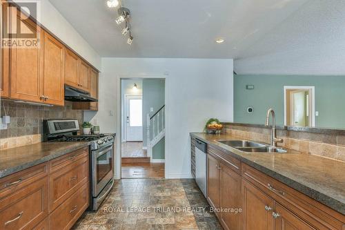 83 Brandy Lane Road, London, ON - Indoor Photo Showing Kitchen With Double Sink