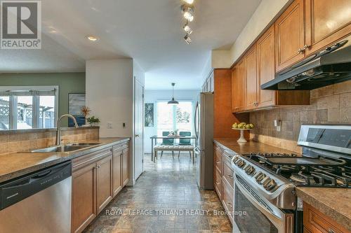 83 Brandy Lane Road, London, ON - Indoor Photo Showing Kitchen With Double Sink