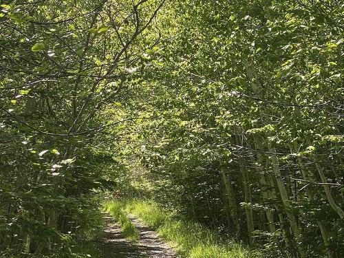 0 No. 1 Highway, Deep Brook, NS 