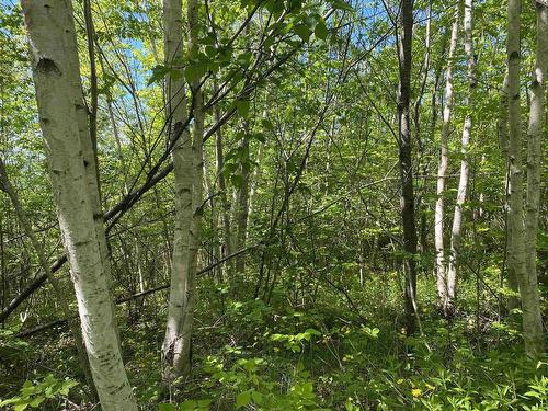 0 No. 1 Highway, Deep Brook, NS 