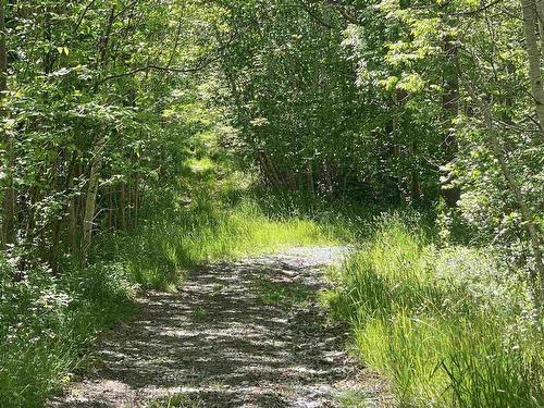 0 No. 1 Highway, Deep Brook, NS 