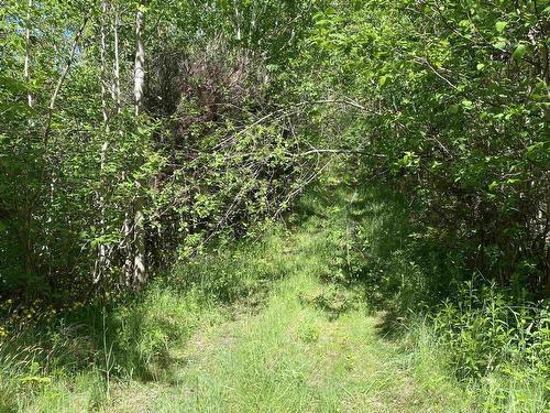 0 No. 1 Highway, Deep Brook, NS 