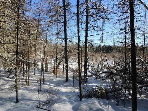 Lot 152 Plan M222, Minaki, ON 