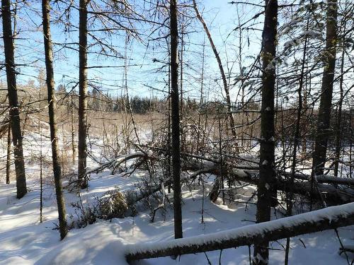 Lot 152 Plan M222, Minaki, ON 