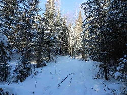 Lot 152 Plan M222, Minaki, ON 