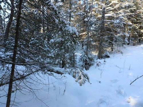 Lot 152 Plan M222, Minaki, ON 